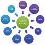 Search Engine Ranking