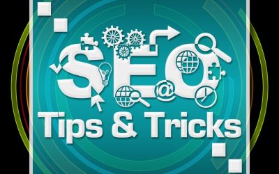 Transform Your Digital Presence Using Seo Naples, FL, for Greater Visibility